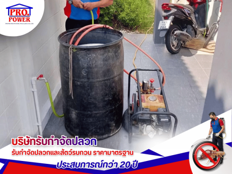 บริการกำจัดปลวก ด่วน 5 ชั่วโมง ในพื้นที่ บางละมุง